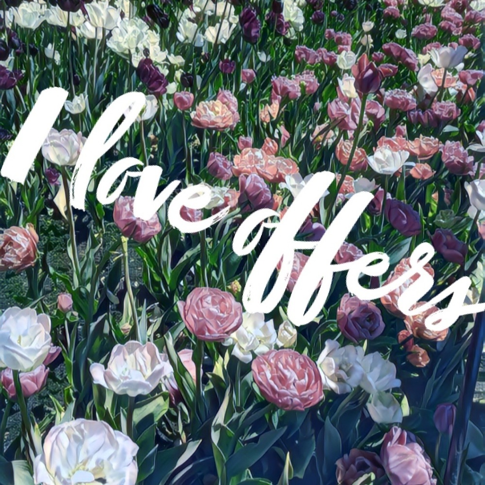 Make me an offer 🛍️